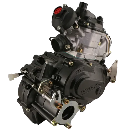 ROTAX 125 MAX DD2 EVO avec batterie – Image 2