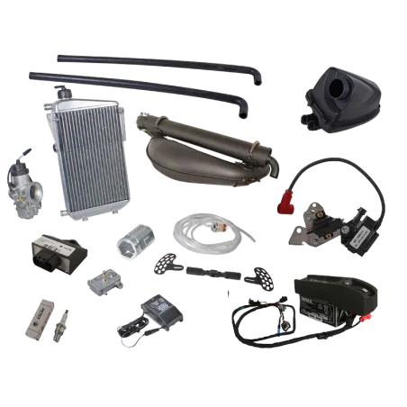 ROTAX 125 MAX DD2 EVO avec batterie – Image 3