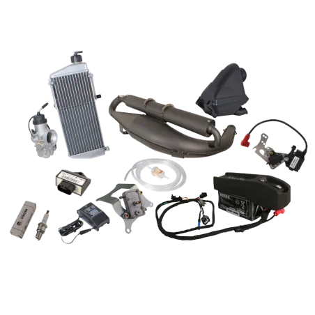 ROTAX 125 JUNIOR EVO avec batterie – Image 2