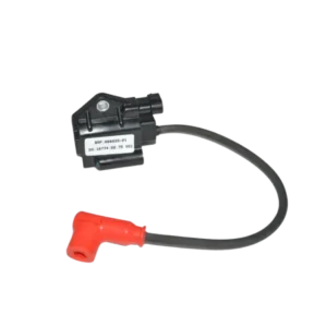 BOBINE D'ALLUMAGE EVO PMFR362.013